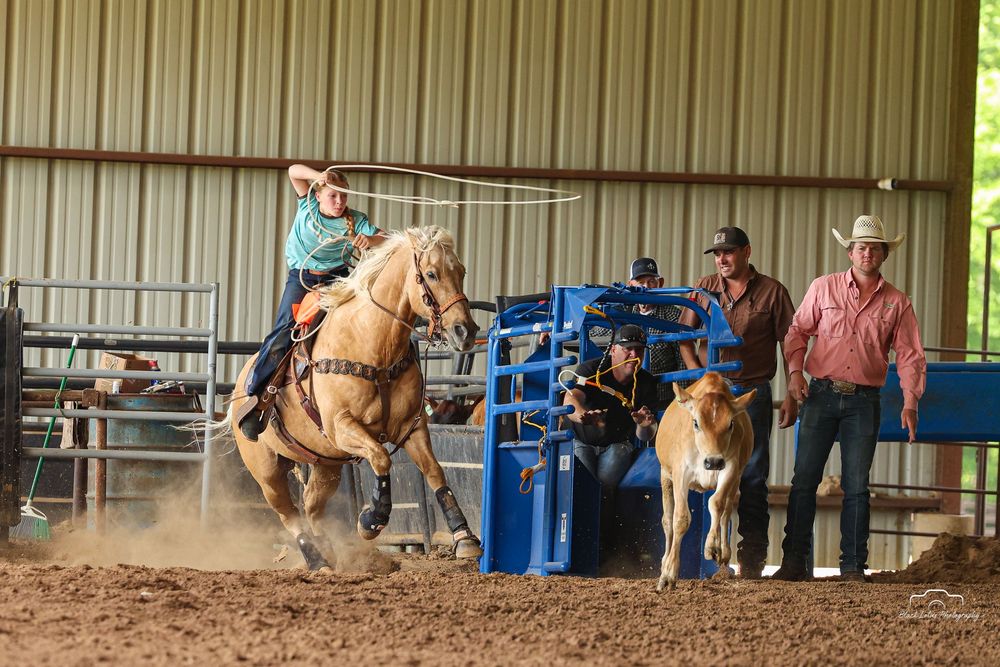 Cowboy on palomino horse lassoing a calf in an indoor rodeo arena while two spectators watch nearby.