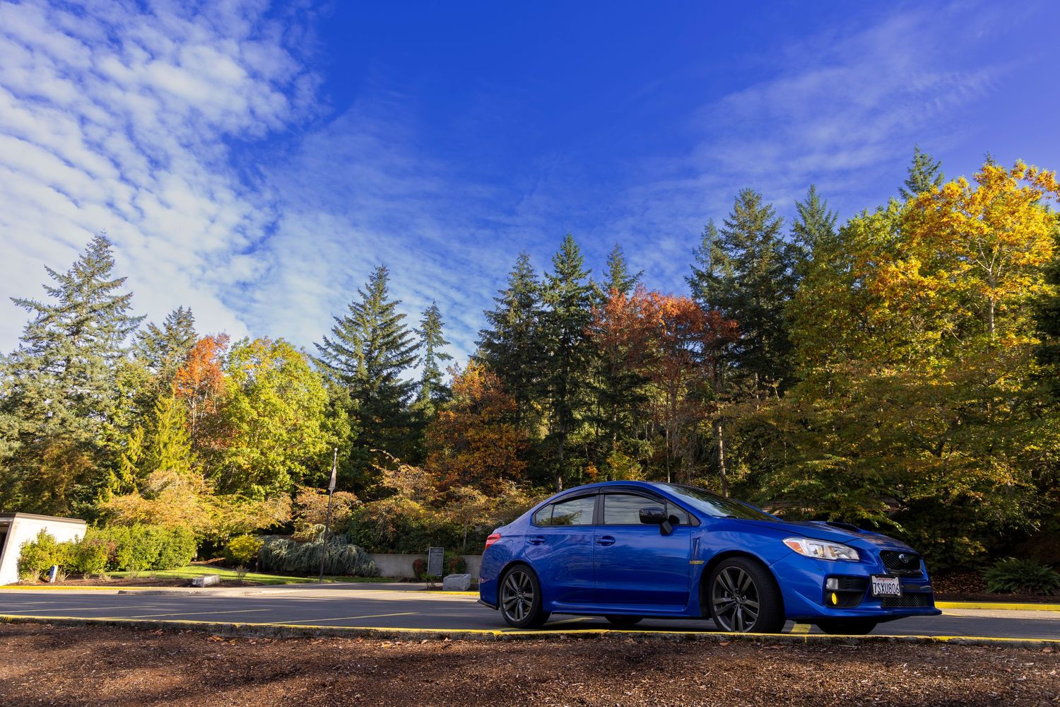 WRX blue and color in the lower right corner of the frame while the dark blue sky towards the upper left-hand corner is separated by green a
