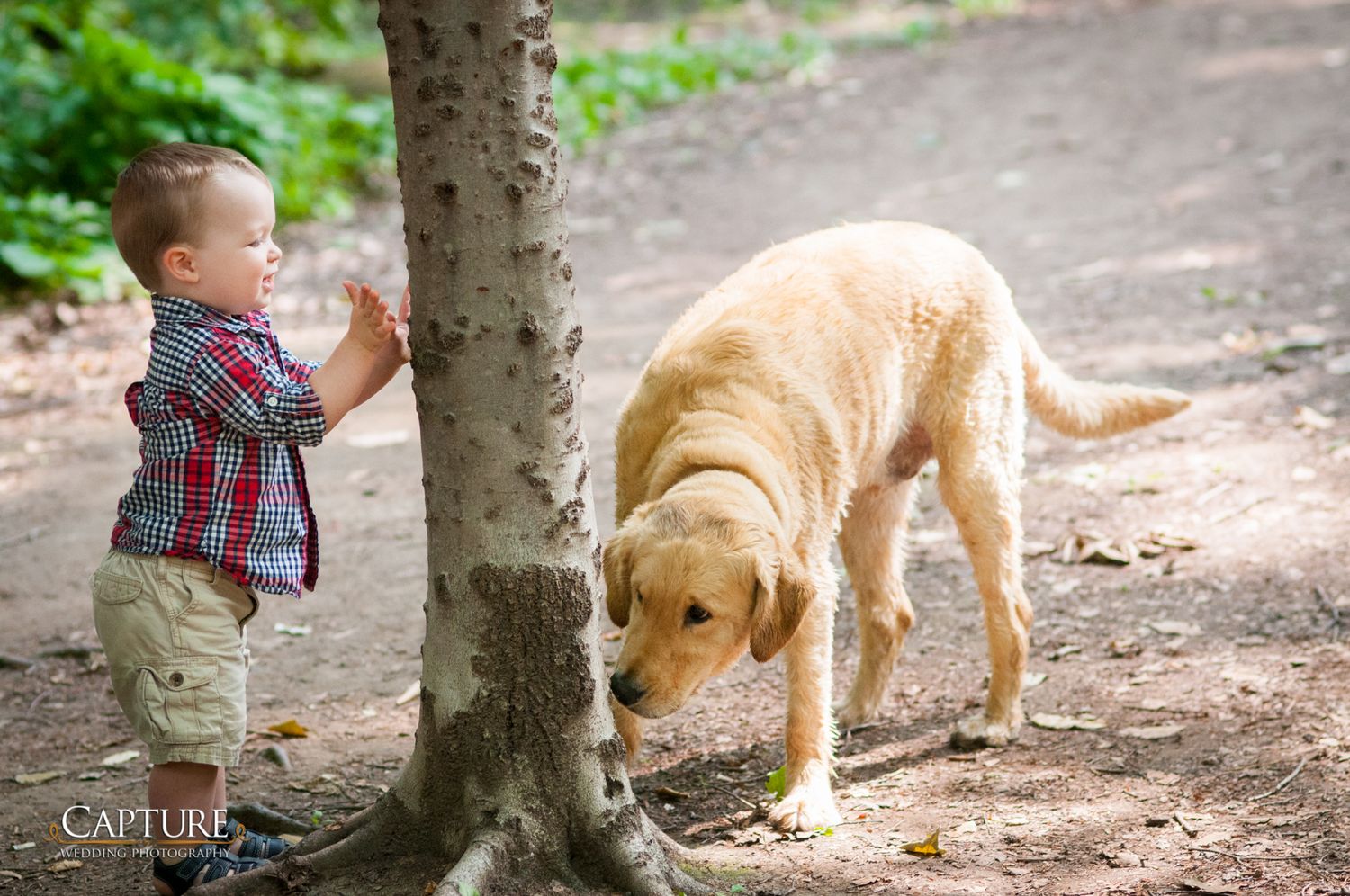 Young child and yellow Labrador exploring together near tree trunk on dirt path.