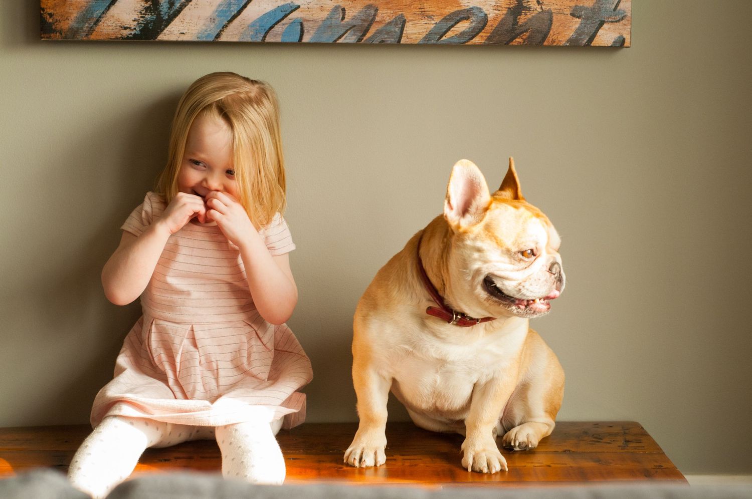 A young child in pink dress sits next to a smiling French Bulldog on a wooden table.