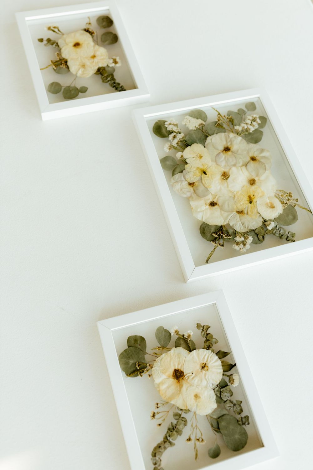 Three white shadow box frames displaying pressed white flowers and eucalyptus on a white surface.