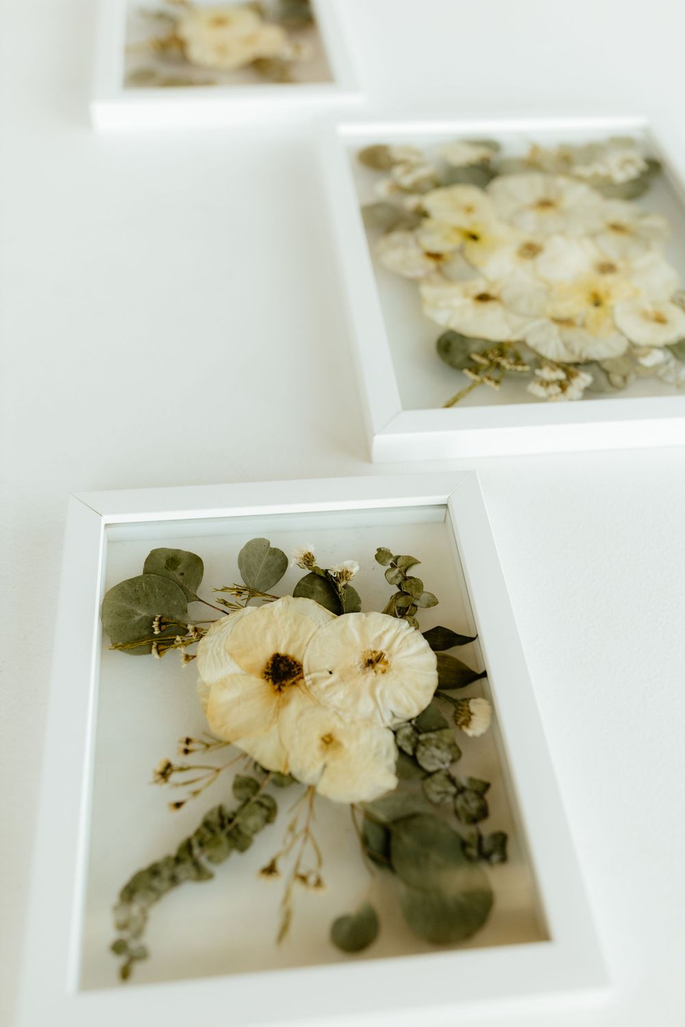 Close-up of white shadow box frames with pressed white flowers and eucalyptus leaves arrangement.