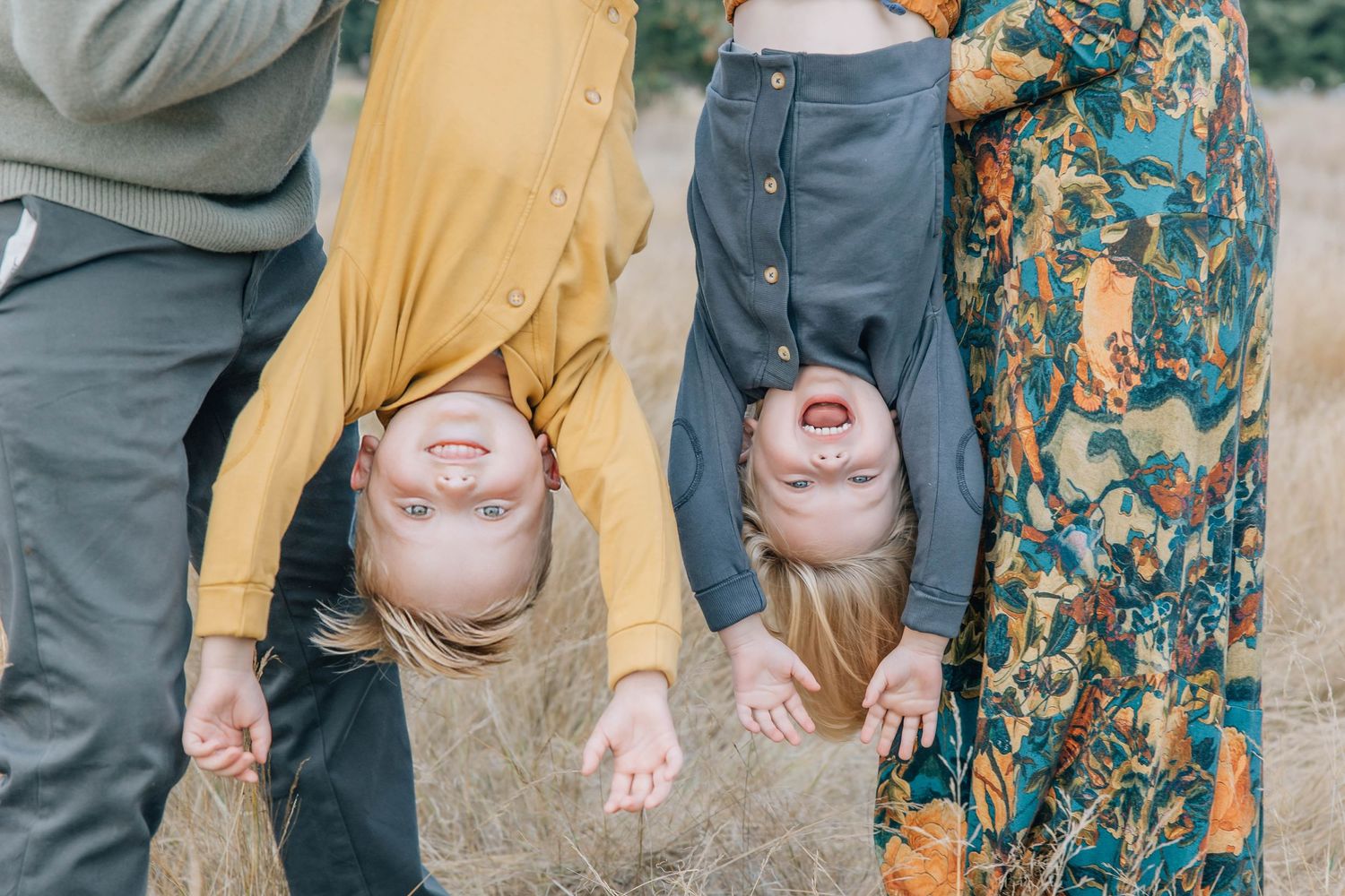 Parents holding two young boys upside down playfully in a golden grass field outdoors.
