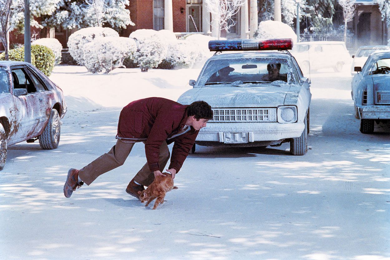 Billy saving a cat