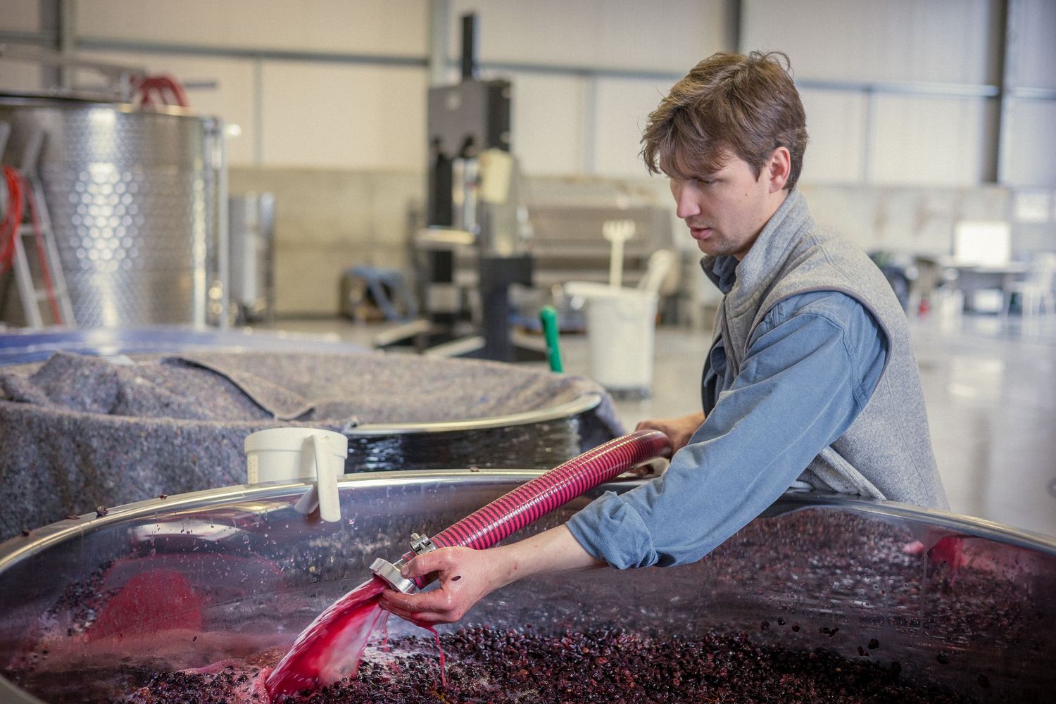 Winemaker processing red grapes in a steel tank at a winery facility.