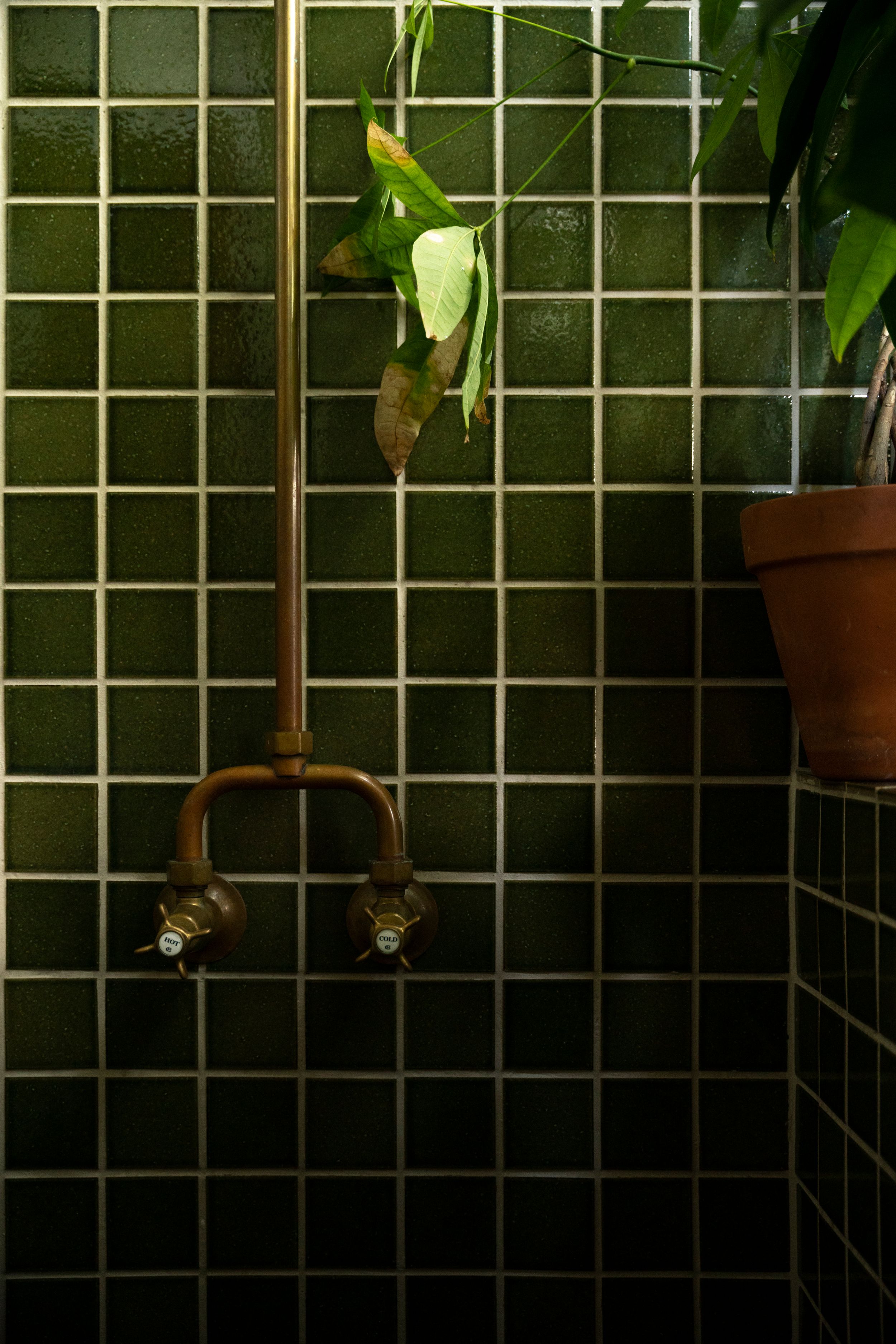 Dark tiled bathroom wall with hanging plants and copper fixtures creating a modern spa-like atmosphere.