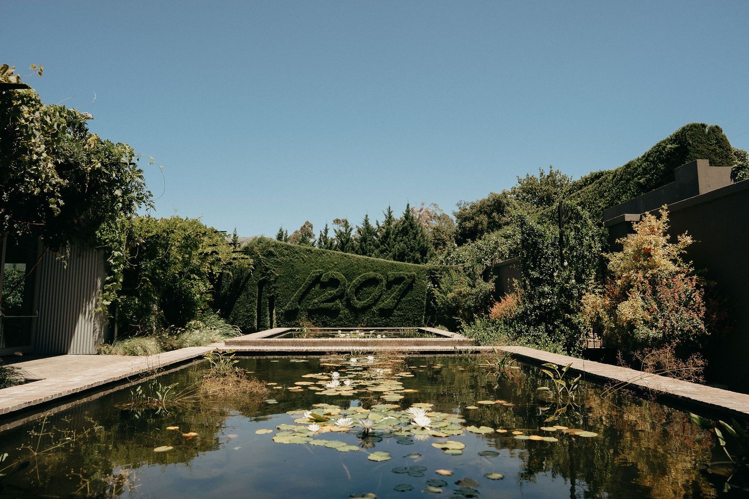 Panoramic view of a tranquil lake with lily pads surrounded by lush green trees and a wooden bridge.