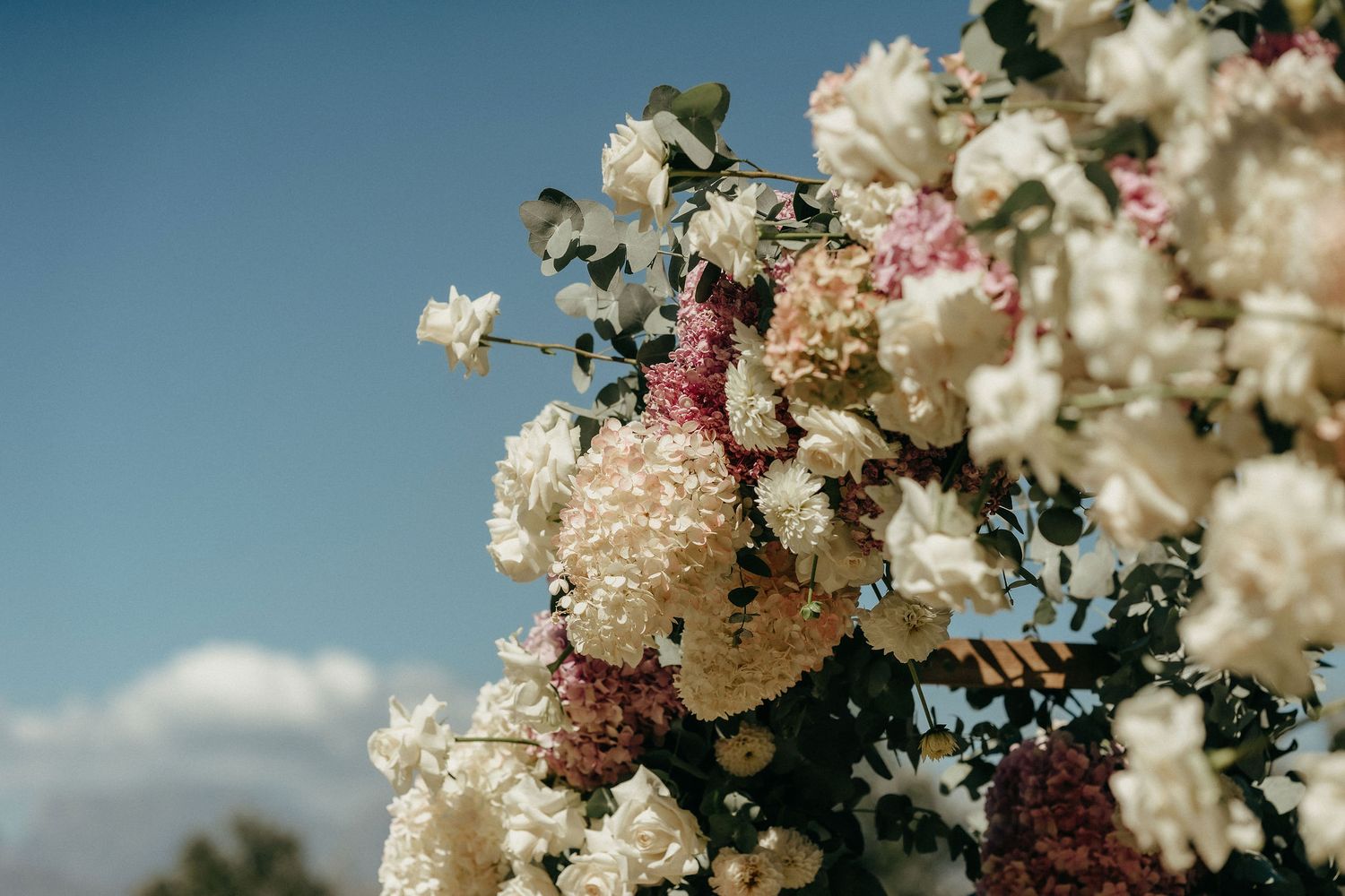 A panoramic collage of white and pink flowers blooming against a bright blue sky background.