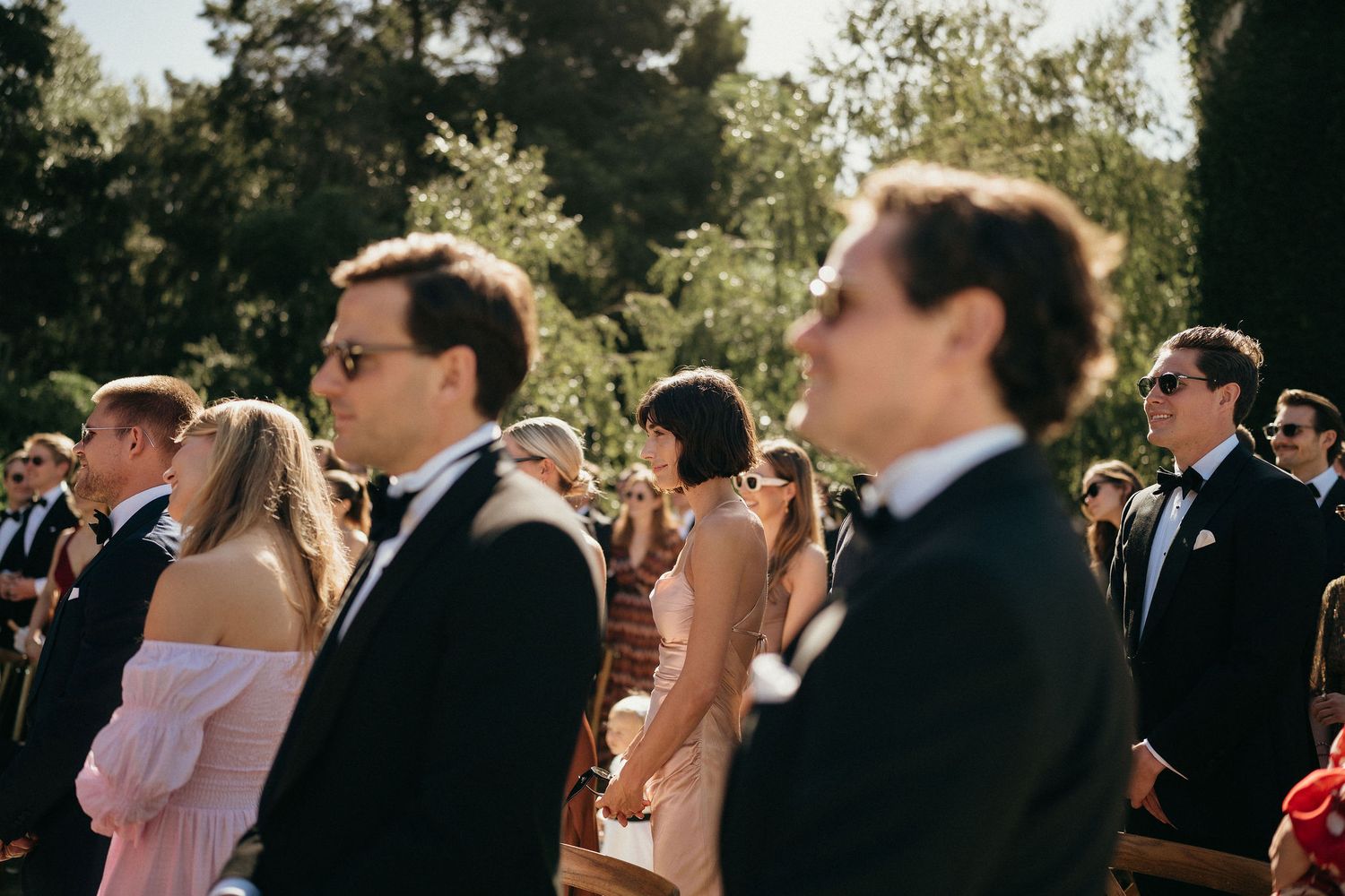 Wedding guests gathered outdoors watching a ceremony with trees and natural lighting in the background.