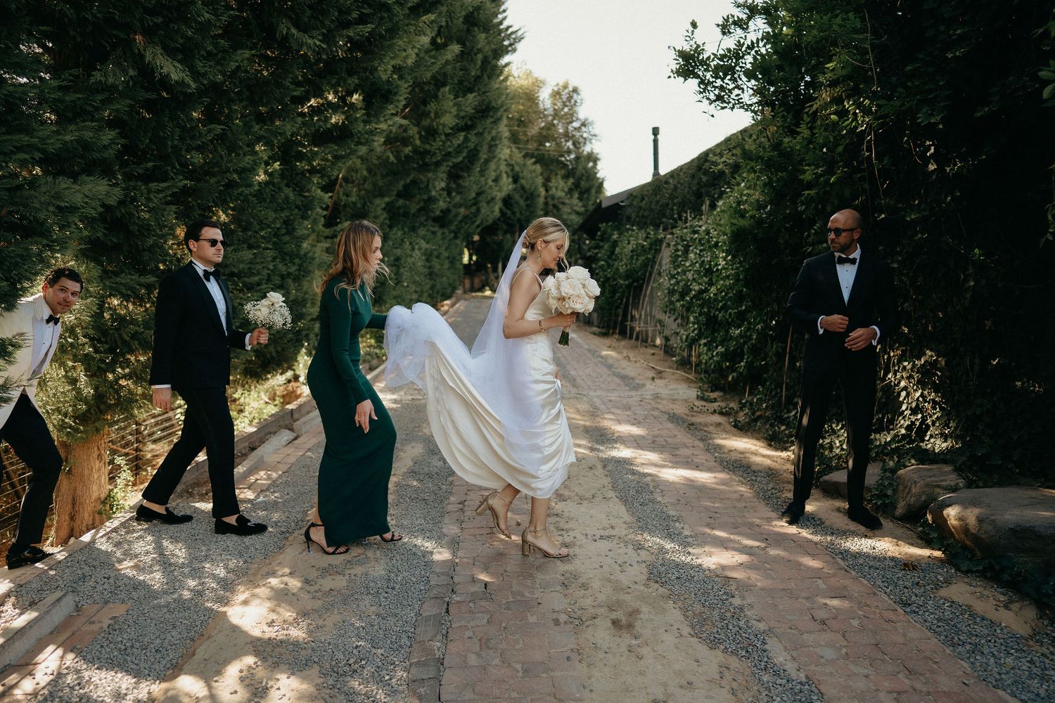 A wedding party walks down a sunlit tree-lined path during an outdoor celebration.