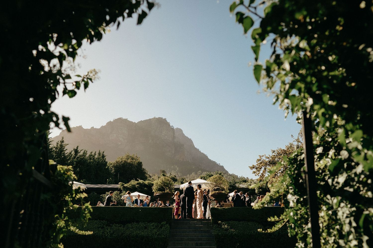 Panoramic view of a mountain landscape with vineyard foliage framing the edges at sunset.
