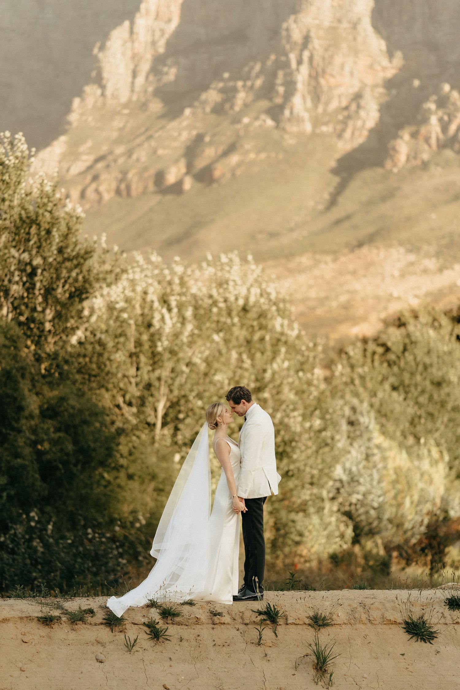 A couple in wedding attire stands against a backdrop of rugged mountain cliffs and desert vegetation at sunset.