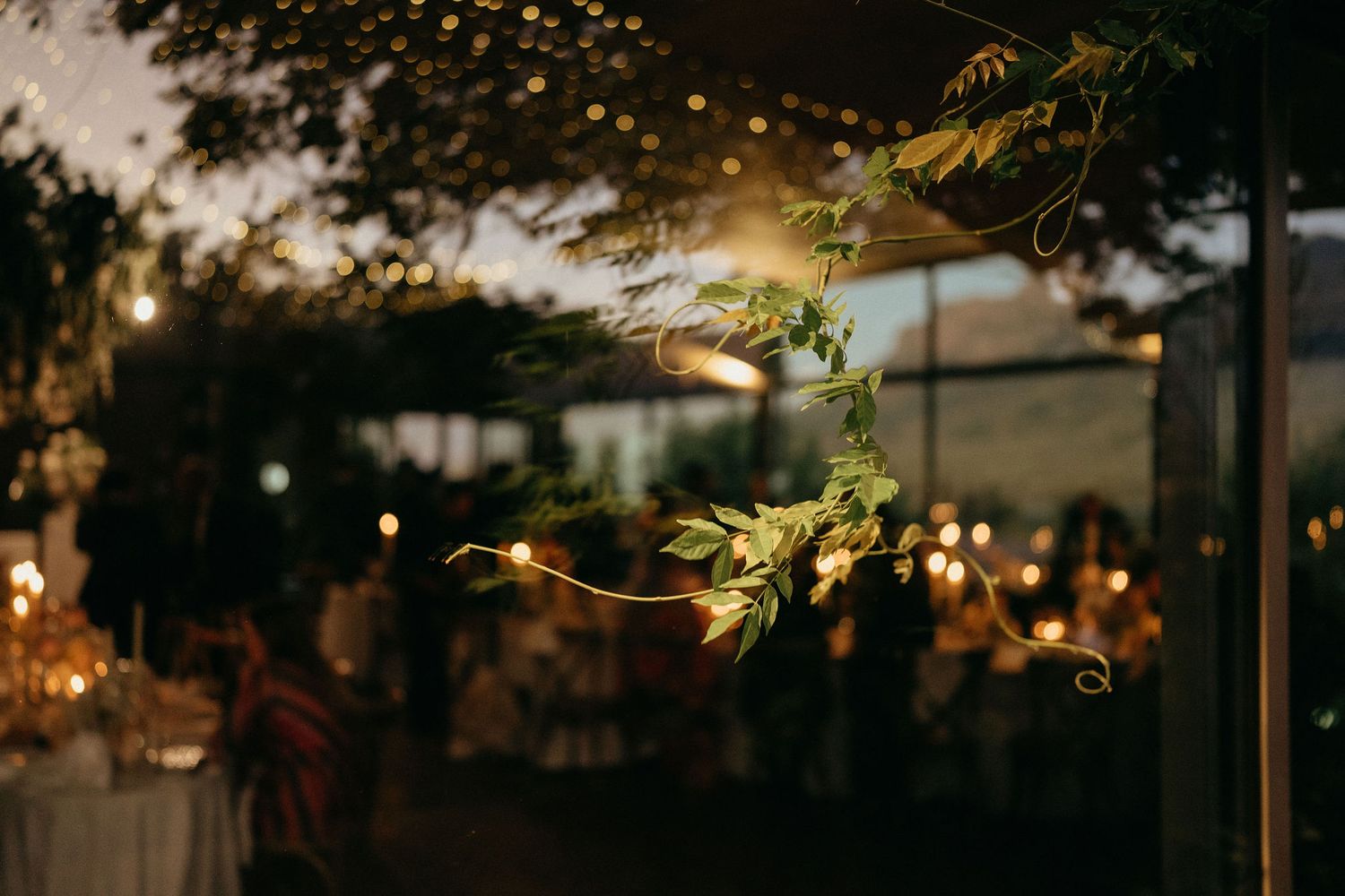 String lights illuminate a rustic outdoor patio with lush green foliage during golden hour.