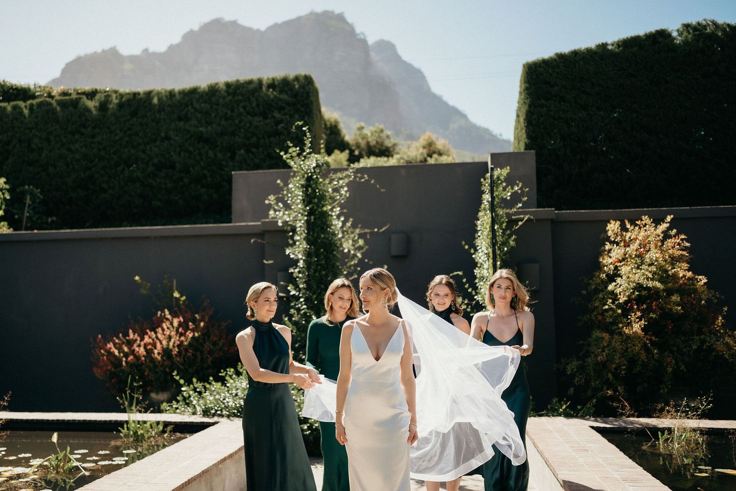A group celebrates joyfully at an outdoor wedding venue with mountain peaks visible in the background.