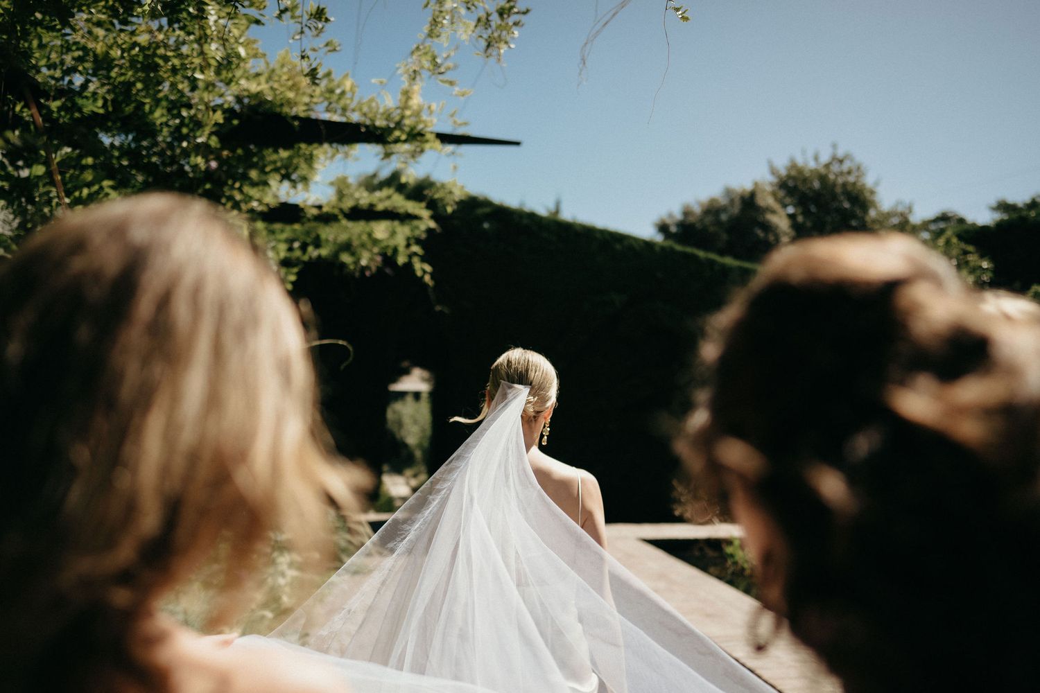 A wedding party walks outdoors in bright sunlight with the bride's veil flowing in the breeze.