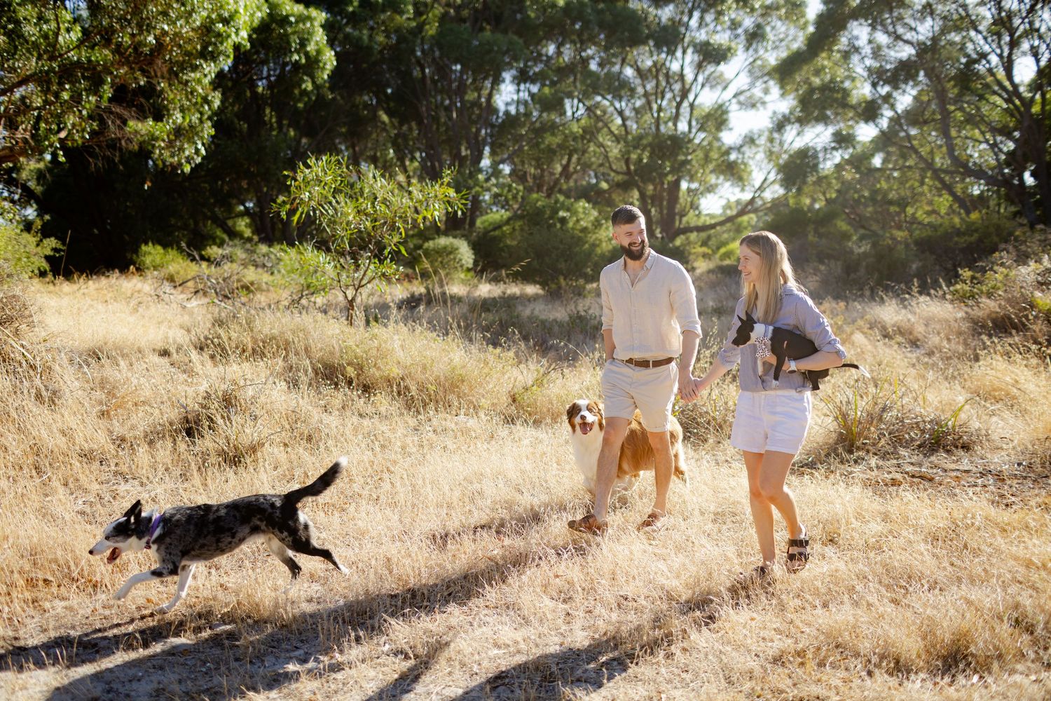 Two people walking a black dog on a sunny trail through dry grass and trees on a summer day.