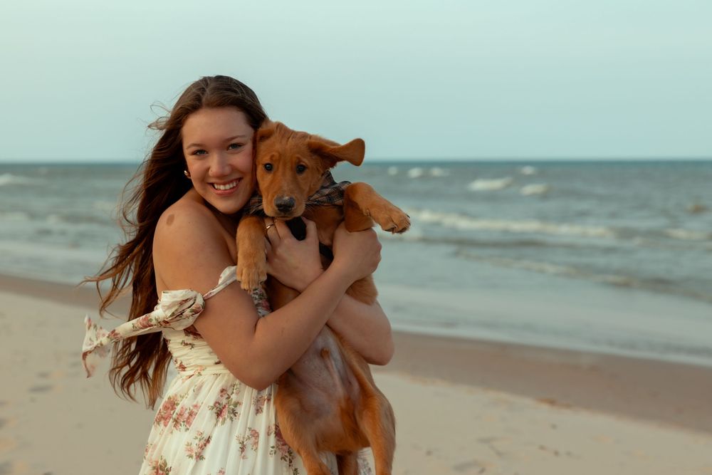 A brown dog being held at the beach with waves and sand in the background.