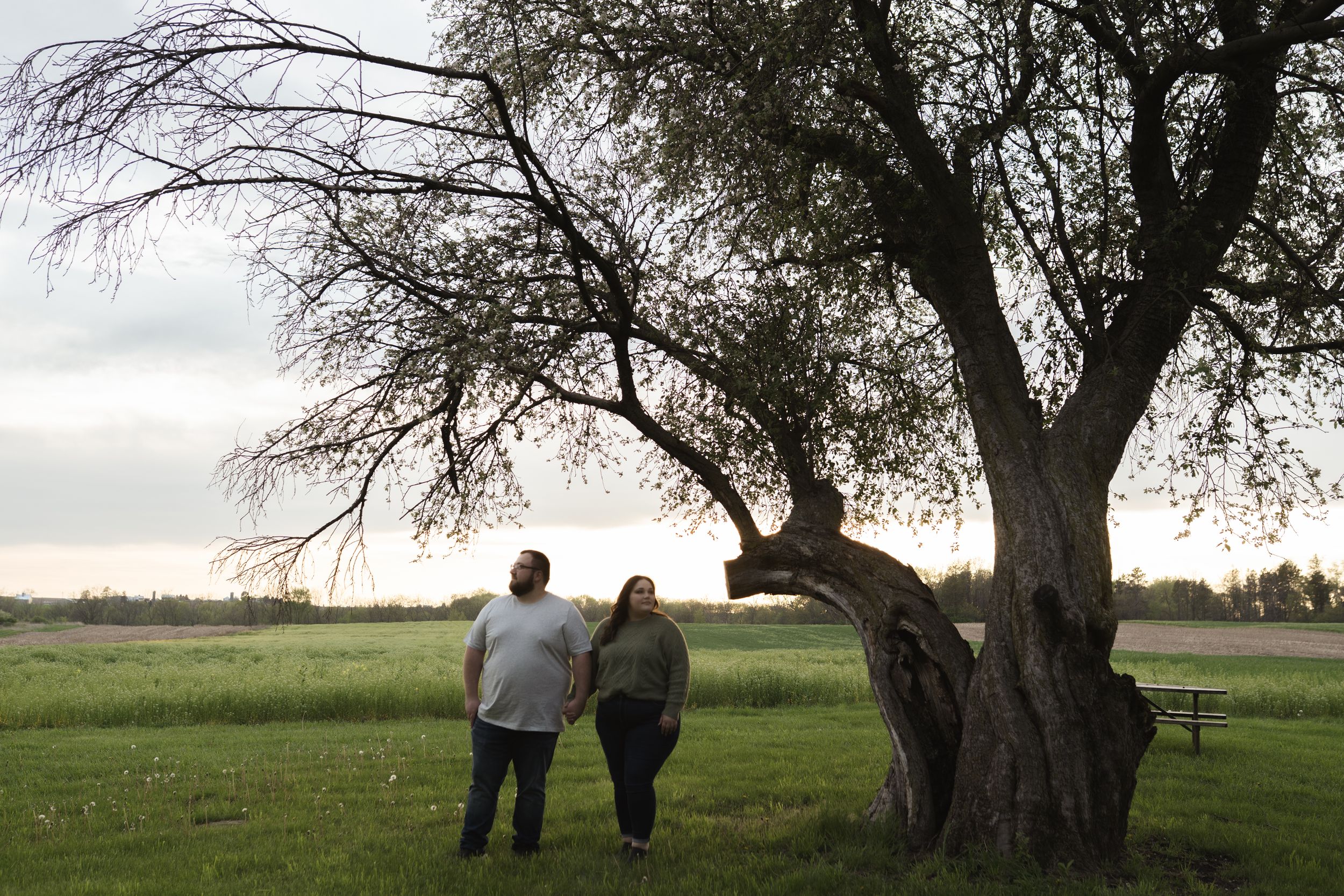 Silhouettes of a couple walking together under large trees in an open field at sunset.