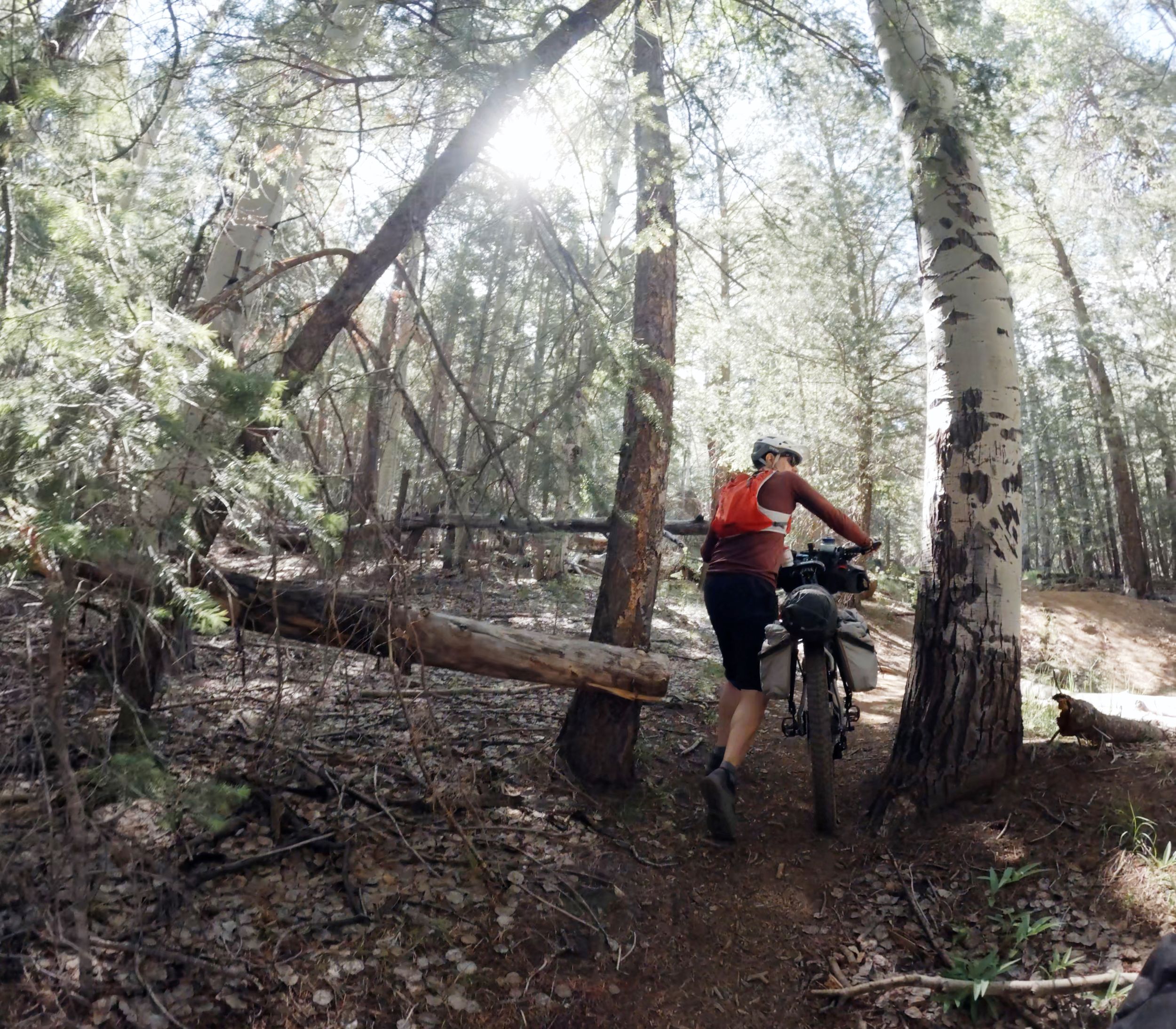 Kris pushes his bike along the AZT.