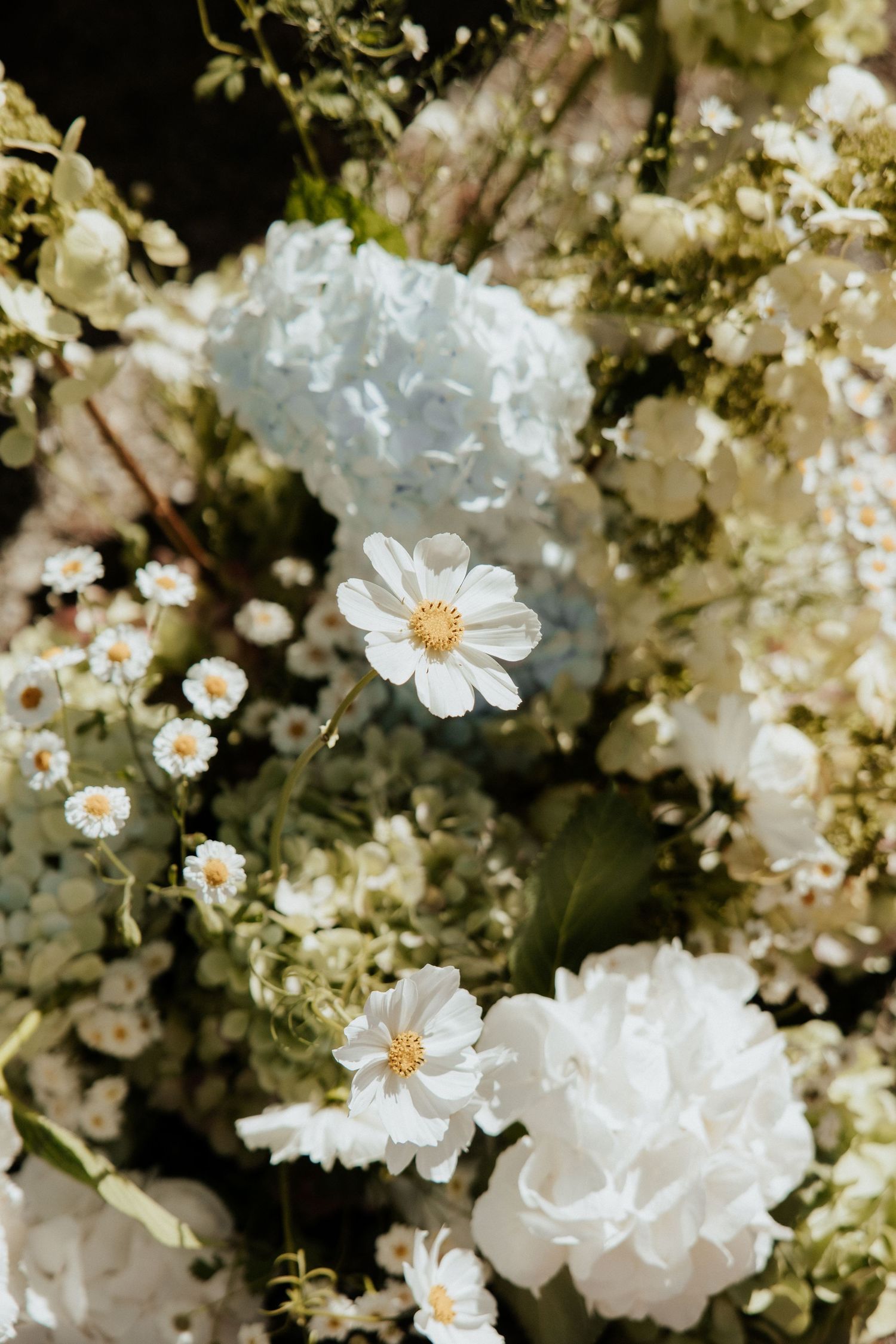 Close-up of delicate white daisies and hydrangeas in a romantic floral arrangement.