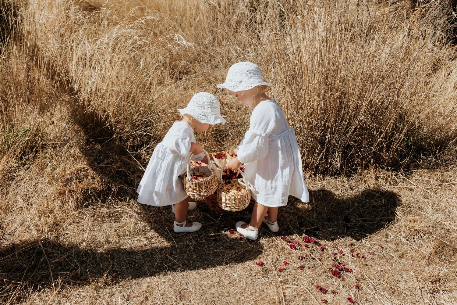 Two children in white dresses playing together in a sunlit field of tall grass.