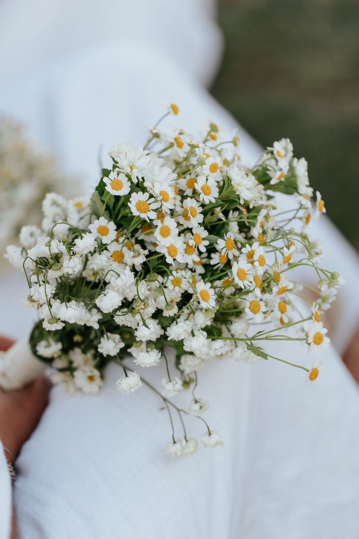 Delicate white and yellow daisy bouquet held against white fabric in soft natural lighting.