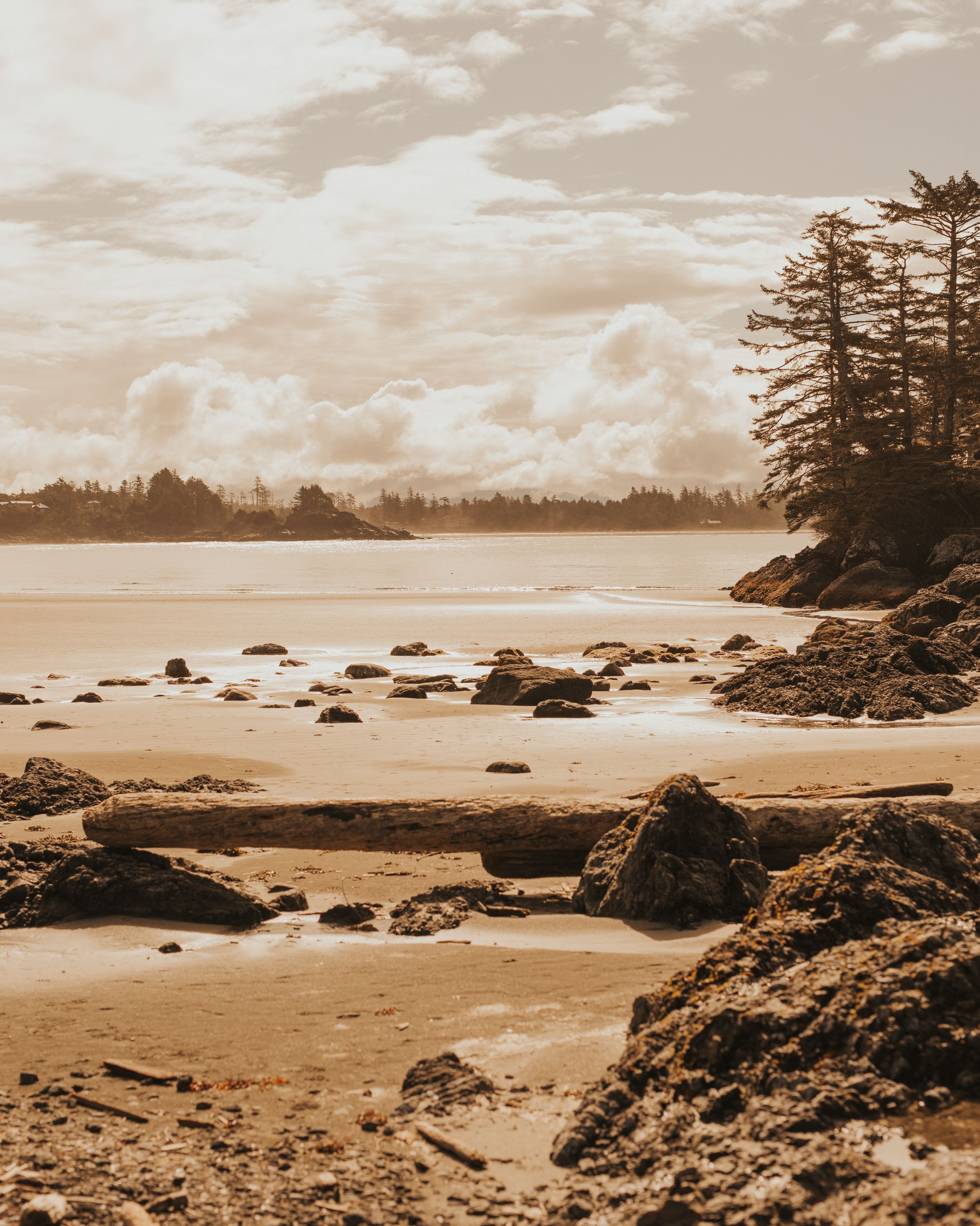 bc elopement-bc elopement packages- elope British Columbia- bc elopement photographer- elope bc photographer - elopement packages bc-