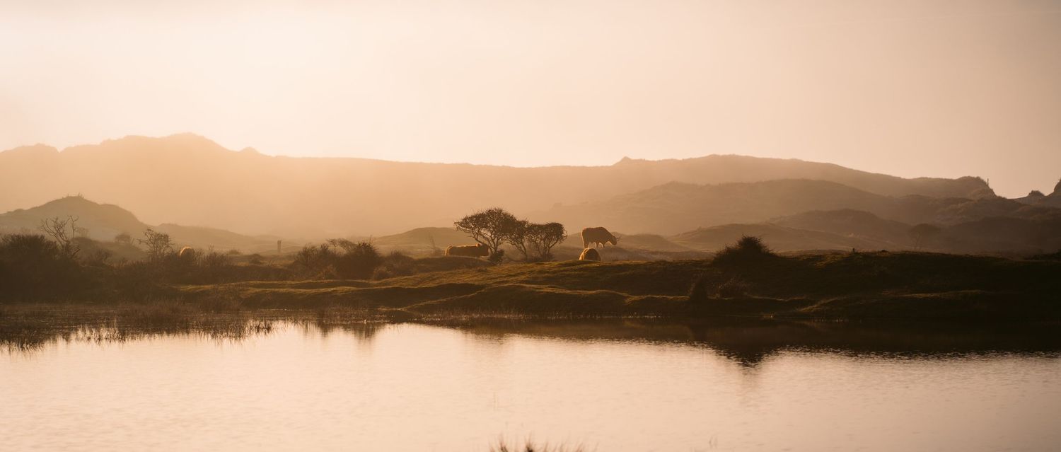 Serene lake landscape at sunset with silhouetted mountains and trees reflecting in calm waters during golden hour.