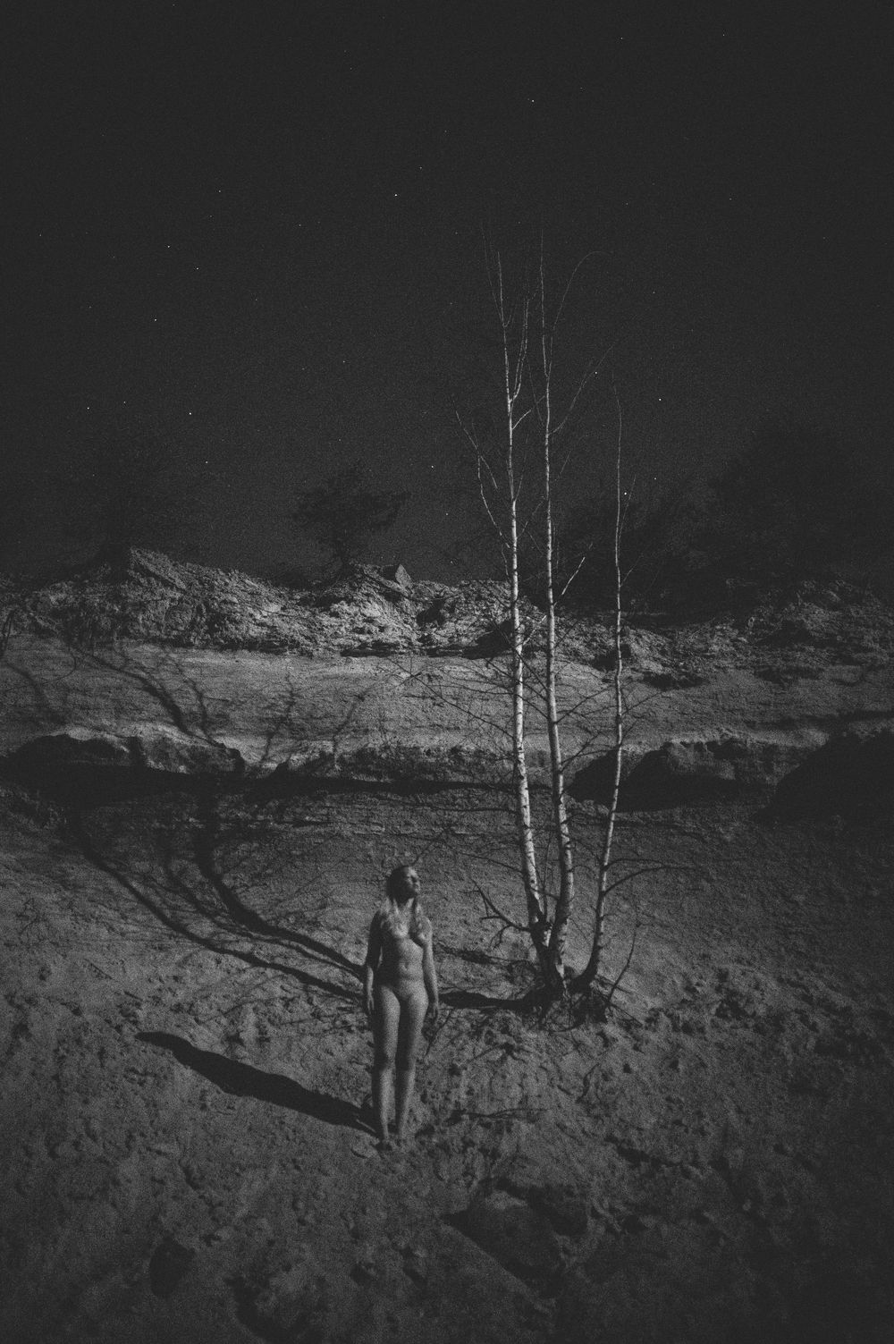 A lone figure stands near a bare tree against a rocky cliff face in dramatic black and white lighting.
