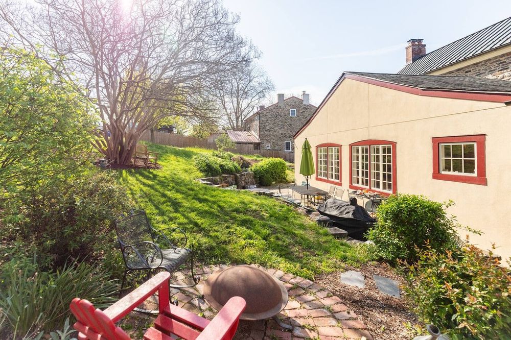 Urban garden featuring giant magnolia tree and sunlight in Baltimore City backyard.