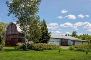 A rustic red barn and white outbuilding sit on a green lawn with tall birch trees under a blue summer sky.