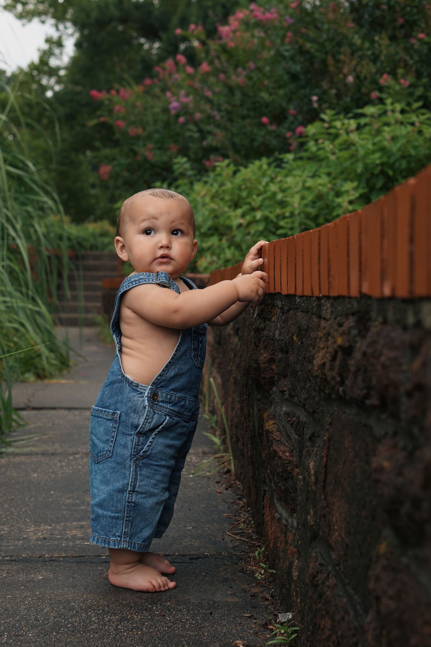 Small child in denim overalls stands barefoot on a garden path next to a stone wall with flowering shrubs in background.