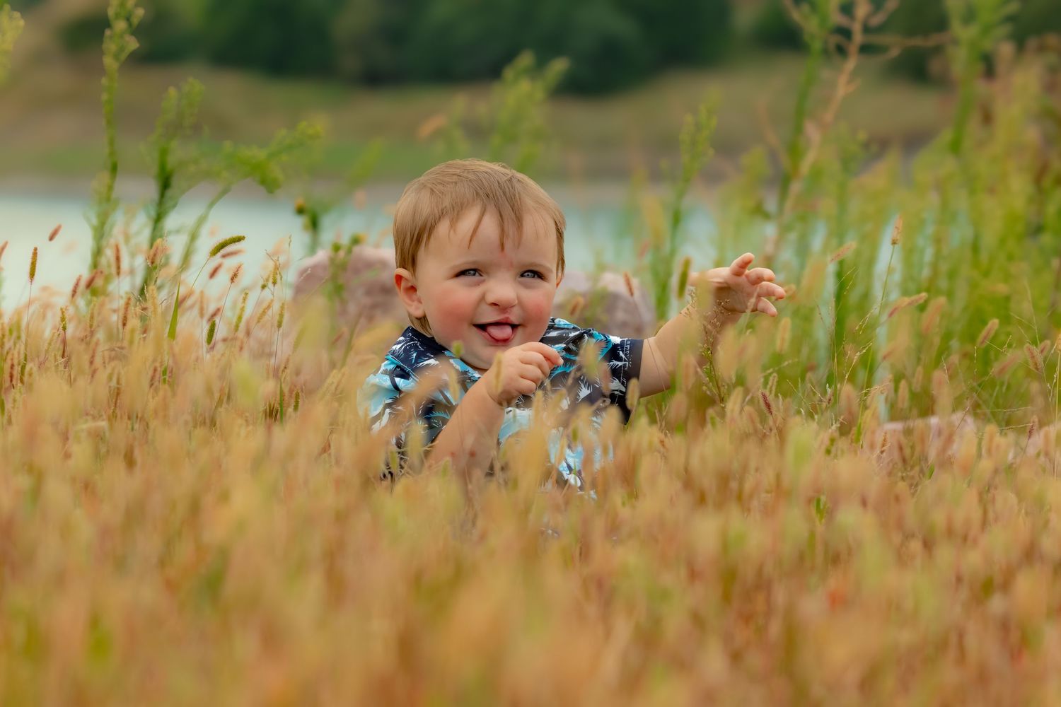 A scenic lakeside view with tall grass and natural vegetation in the foreground.