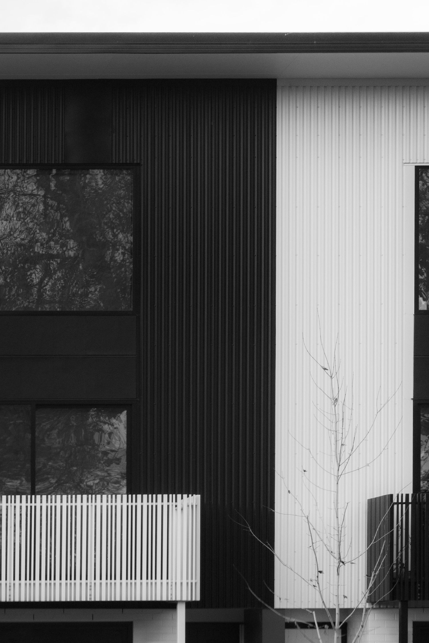 Black-and-white architectural facade with vertical cladding and minimal windows.