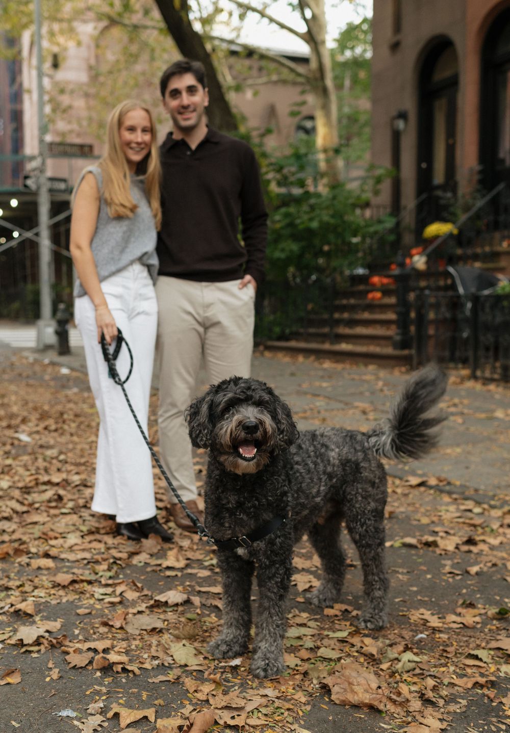 A couple walks their happy black goldendoodle dog on an autumn day with fallen leaves scattered on the ground.