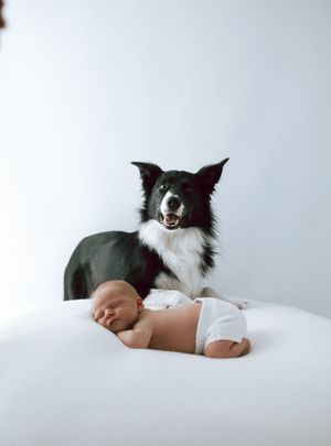 Newborn with dog