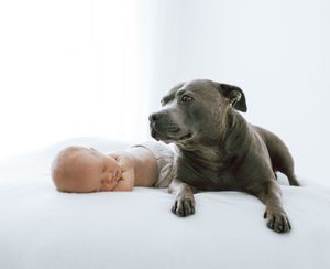 Newborn with dog