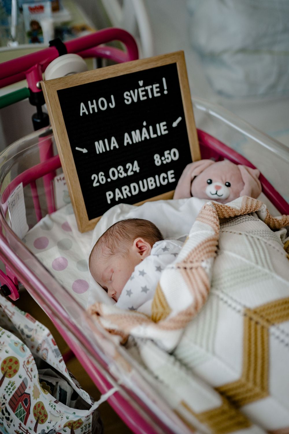 Foceni miminek v porodnici Pardubice, Hradec Králové, Praze a Chrudimi. Profi fotografka Sarka Duchacova.