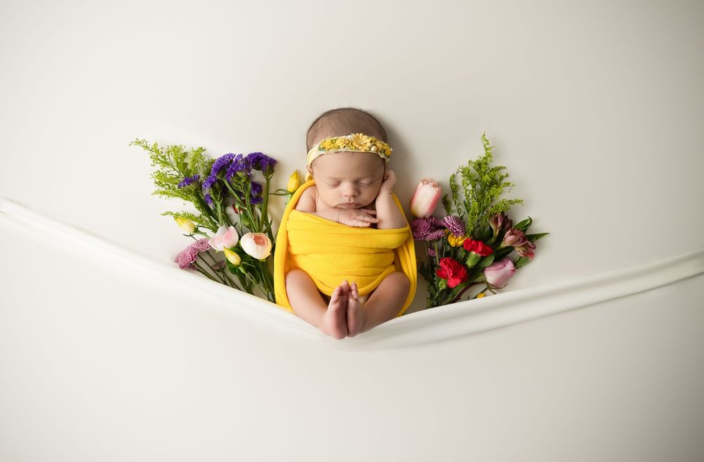 newborn studio photographer in greensboro