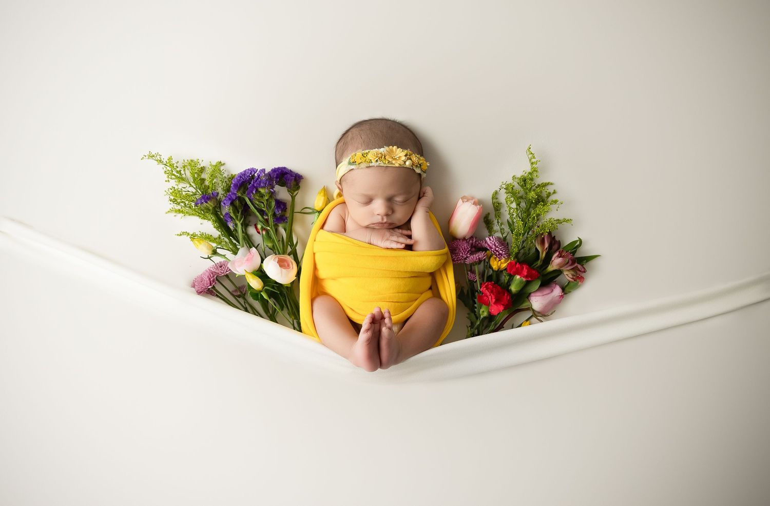 newborn studio photographer in greensboro