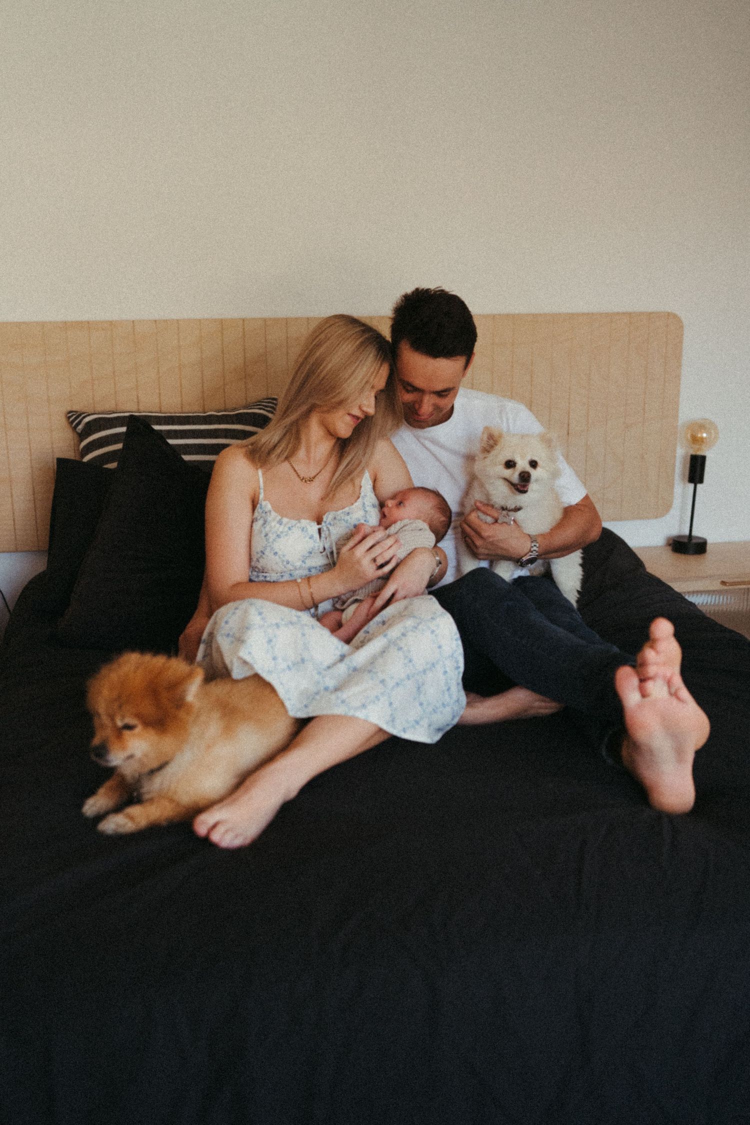 Cozy family moment on bed with small white and brown dogs.