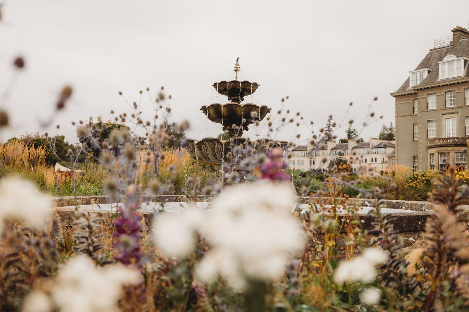 Blurred white flowers in foreground with stone buildings and autumn foliage in background creating dreamy scenery.