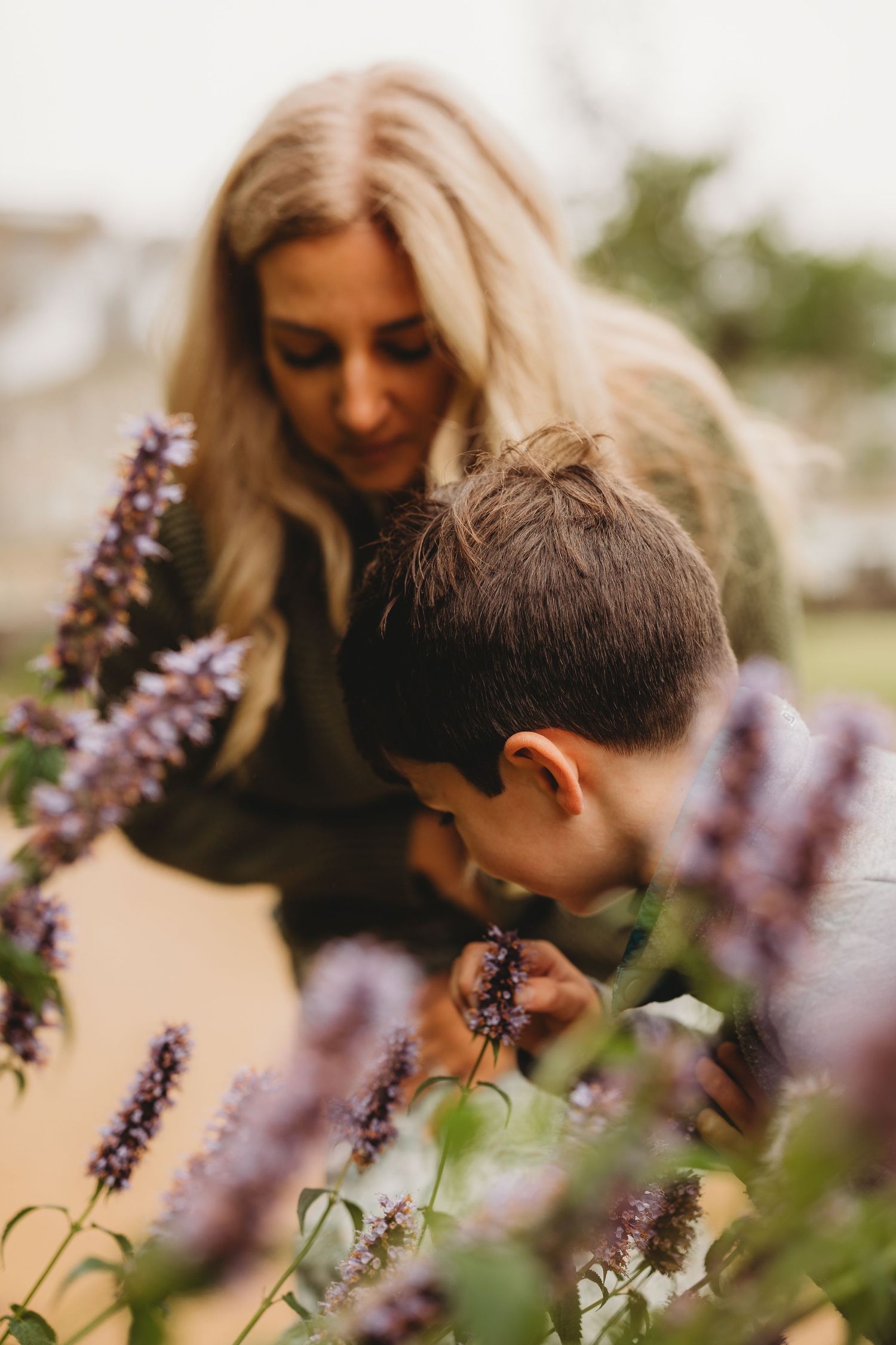 Close-up shots of people examining purple flowers blooming in a garden.