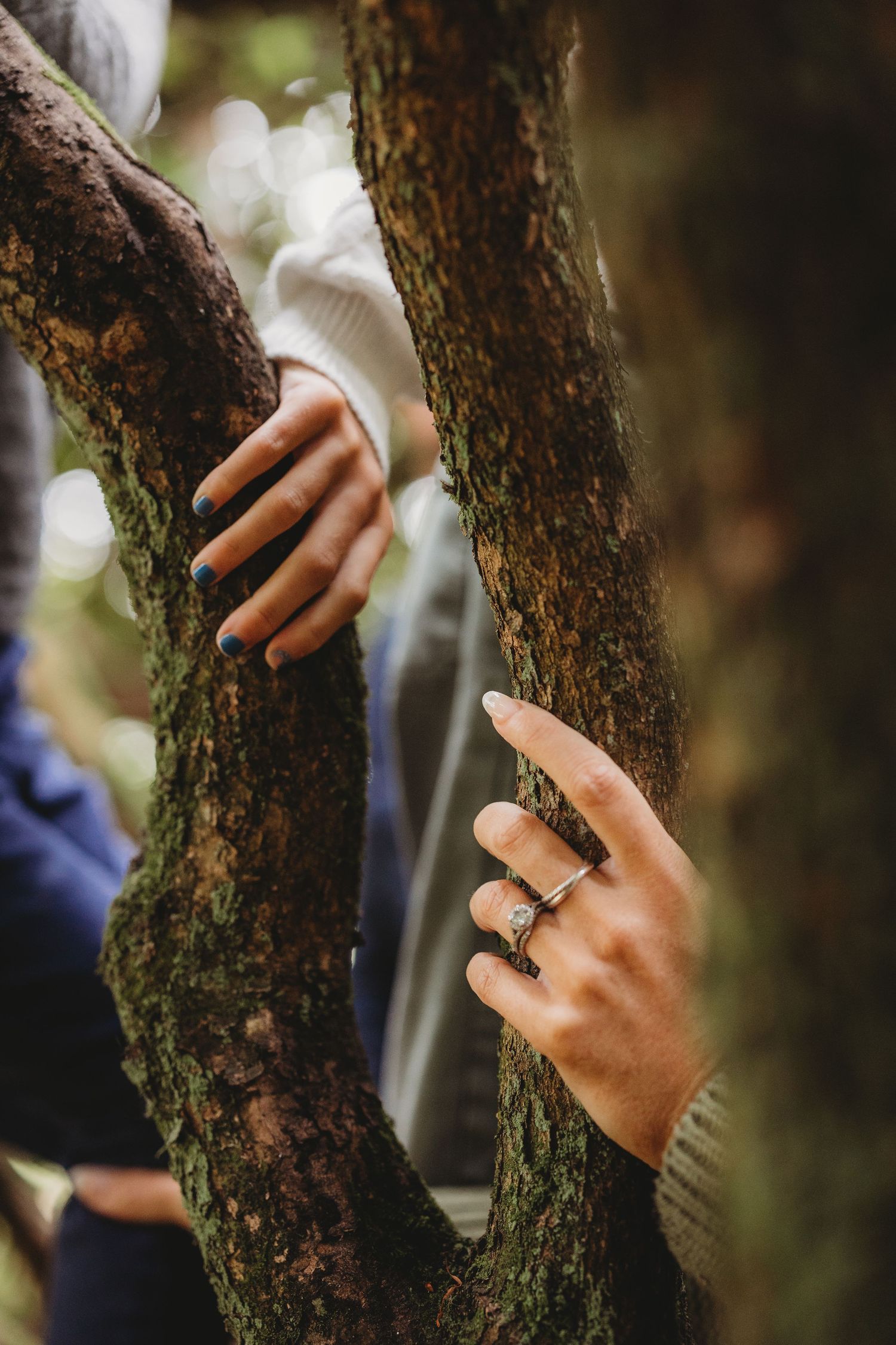 Close-up of hands with rings reaching between tree branches in soft natural lighting.