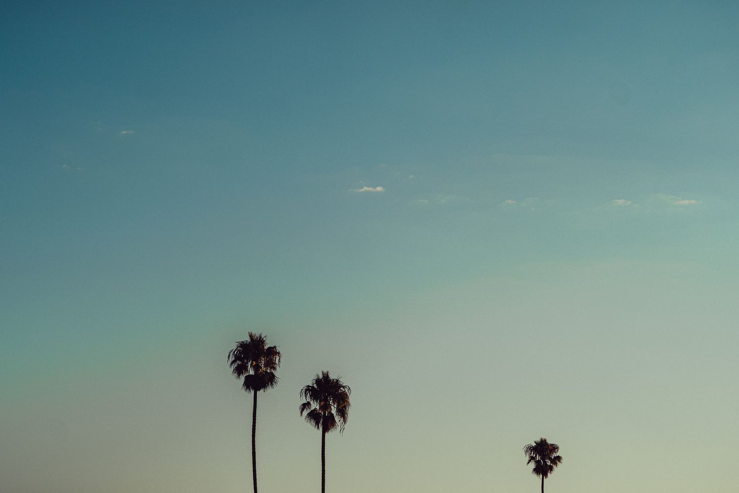 Silhouetted palm trees stand against a gradient turquoise sky creating a serene tropical landscape.