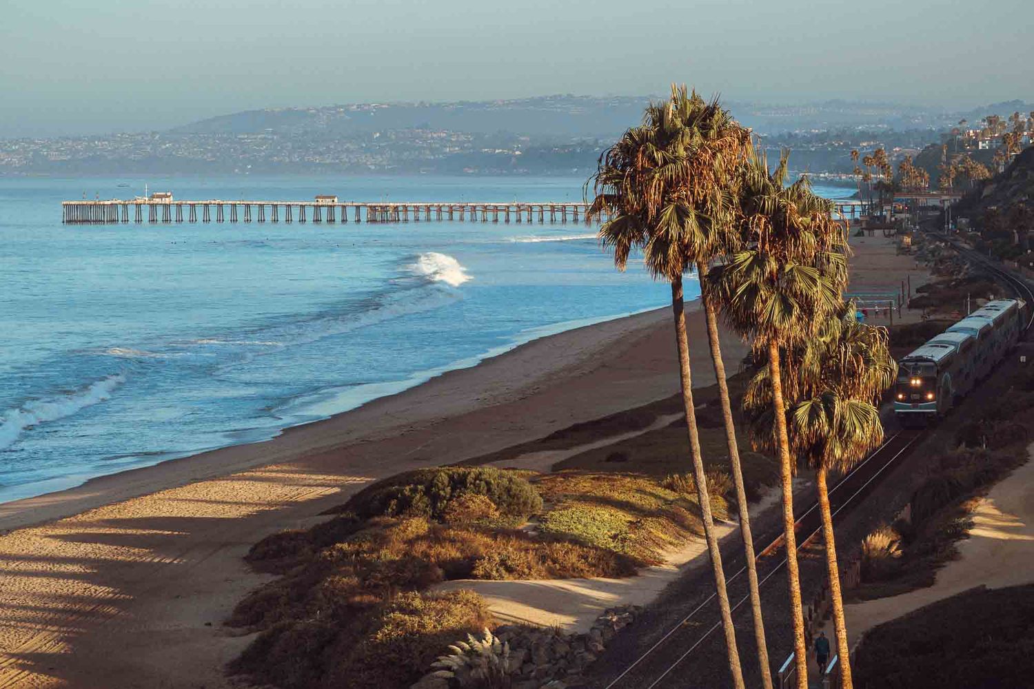Panoramic view of a California beach with tall palm trees and a fishing pier extending into the blue ocean.