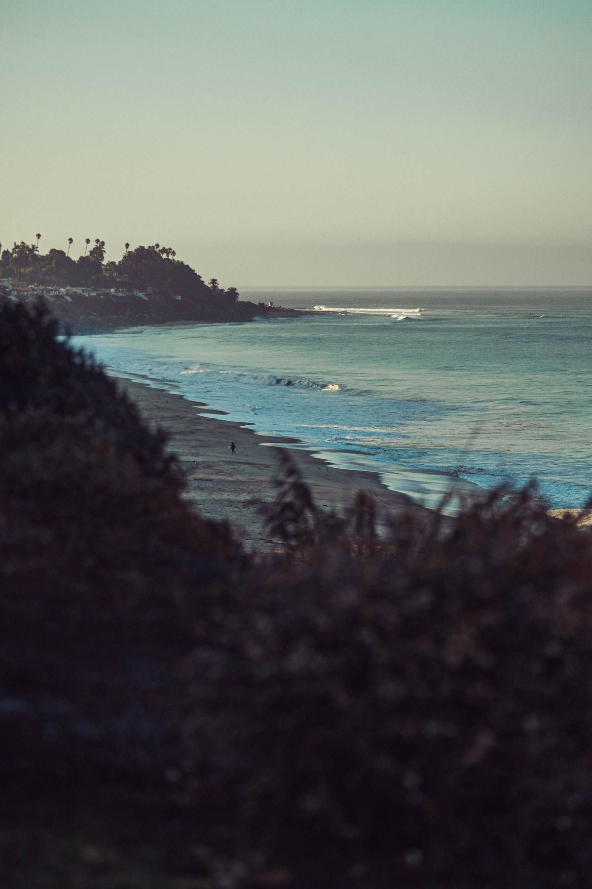 Scenic coastal landscape showing waves rolling onto a misty beach with palm trees and cliffs in the distance.