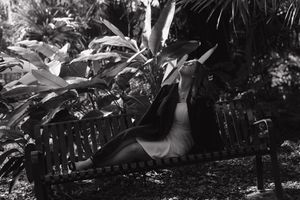 Artistic nature photo with dark shadows and tropical foliage.
