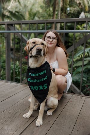 Yellow Labrador wearing graduation bandana poses on wooden deck in tropical setting.