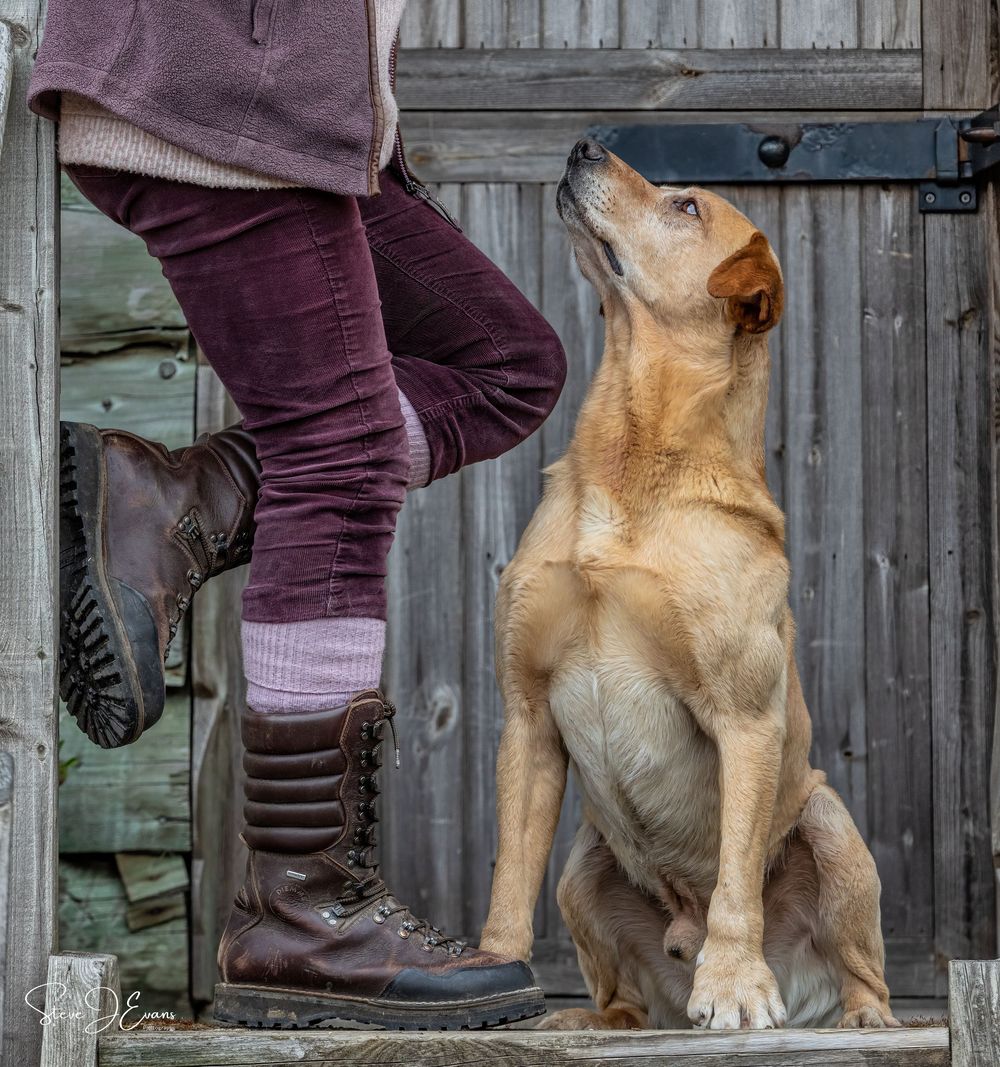 Steve J Evans is an award winning pet/dog photographer based in Filey North Yorkshire. Offering working dogs and shoot day images
